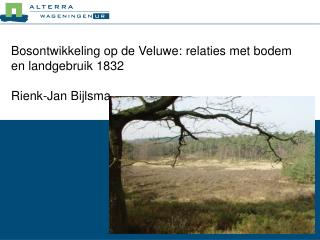 Bosontwikkeling op de Veluwe: relaties met bodem en landgebruik 1832 Rienk-Jan Bijlsma