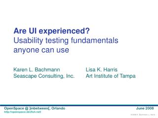 Are UI experienced? Usability testing fundamentals anyone can use