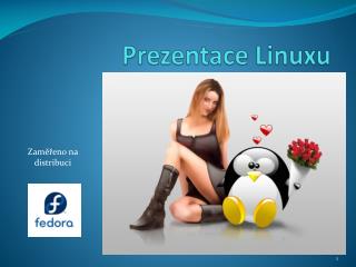 Prezentace Linuxu