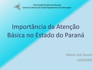 Importância da Atenção Básica no Estado do Paraná