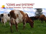 COWS and SYSTEMS by Steve Snowdon, Tyers Victoria