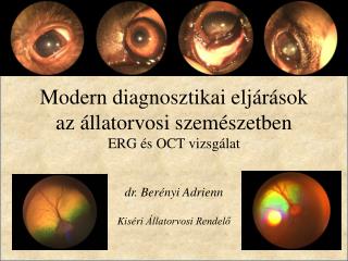 Modern diagnosztikai eljárások az állatorvosi szemészetben