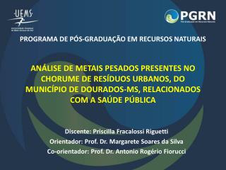 Discente: Priscilla Fracalossi Riguetti Orientador: Prof. Dr. Margarete Soares da Silva