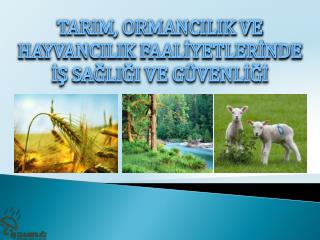 TARIM, ORMANCILIK VE HAYVANCILIK FAALİYETLERİNDE İŞ SAĞLIĞI VE GÜVENLİĞİ