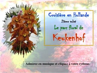 Croisière en Hollande 2ième volet Le parc floral de Keukenhof