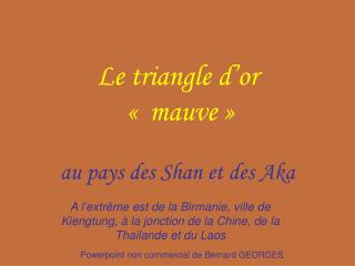 Le triangle d’or «  mauve » au pays des Shan et des Aka