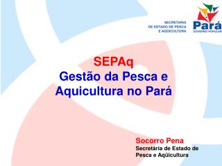 SEPAq Gestão da Pesca e Aquicultura no Pará
