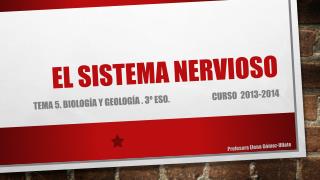 EL SISTEMA NERVIOSO