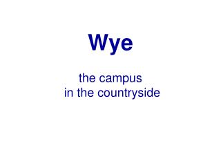 Wye the campus in the countryside