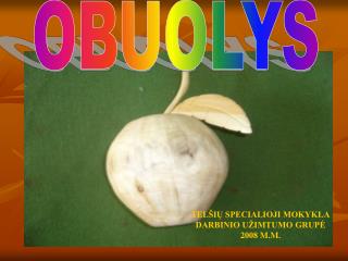 OBUOLYS