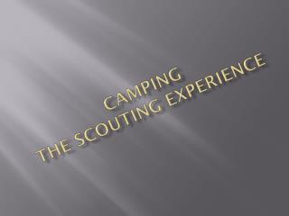 camping The Scouting Experience