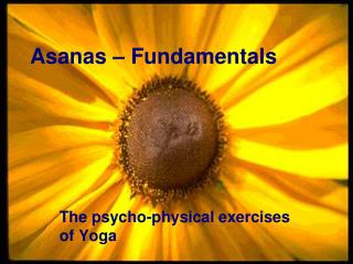 Asanas – Fundamentals