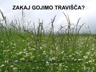 ZAKAJ GOJIMO TRAVIŠČA