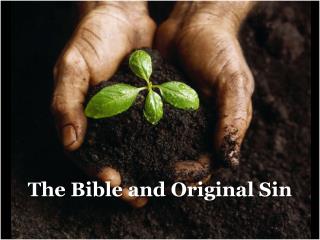 The Bible and Original Sin