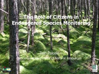 The Role of Citizens in Endangered Species Monitoring