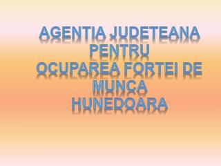AGENTIA JUDETEANA PENTRU OCUPAREA FORTEI DE MUNCA HUNEDOARA
