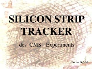 SILICON STRIP TRACKER