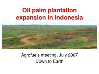 Oil palm plantation expansion in Indonesia