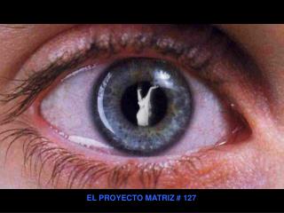 EL PROYECTO MATRIZ # 127