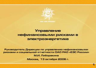 Управление нефинансовыми рисками в электроэнергетике