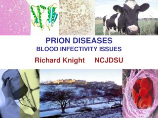 PRION DISEASES BLOOD INFECTIVITY ISSUES