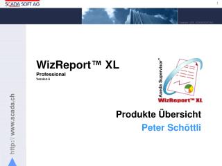 WizReport ™ XL Professional Version 6