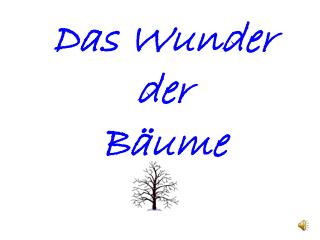 Das Wunder der Bäume