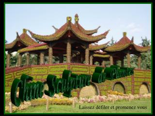 Chine Sculpture de Plantes