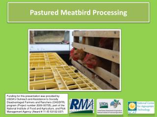 Pastured Meatbird Processing