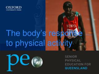 The body’s response to physical activity