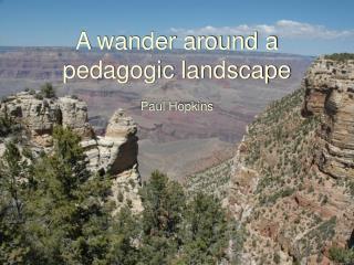 A wander around a pedagogic landscape