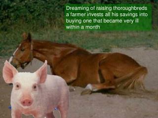 Day 2 – no change piglet kept on pleading with the horse :
