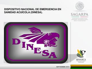 DISPOSITIVO NACIONAL DE EMERGENCIA EN SANIDAD ACUÍCOLA (DINESA).