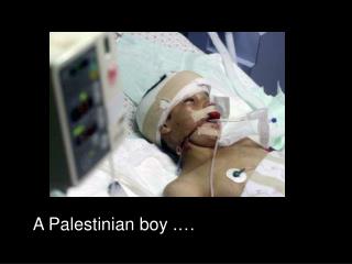 A Palestinian boy .…