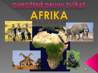 AfrikA