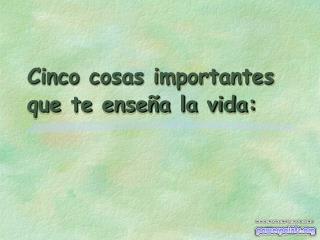Cinco cosas importantes que te enseña la vida:
