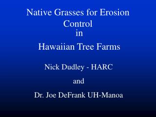 Native Grasses for Erosion Control