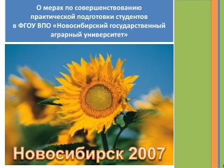 Новосибирск 2007