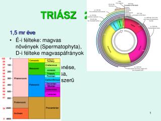 TRIÁSZ 251-200