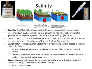 Salinity