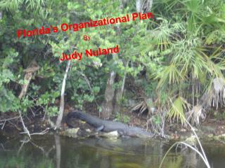 Florida’s Organizational Plan By Judy Nuland