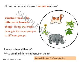 Do you know what the word variation means?