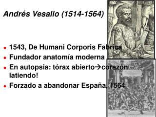 Andrés Vesalio (1514-1564)