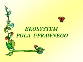 EKOSYSTEM POLA UPRAWNEGO