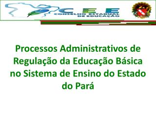 Processos Administrativos de Regulação da Educação Básica no Sistema de Ensino do Estado do Pará