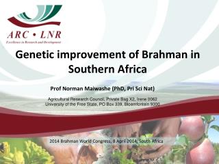 Genetic improvement of Brahman in Southern Africa