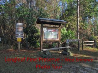 Longleaf Pine Preserve – West Entrance Photo Tour