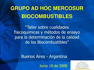 GRUPO AD HOC MERCOSUR BIOCOMBUSTIBLES