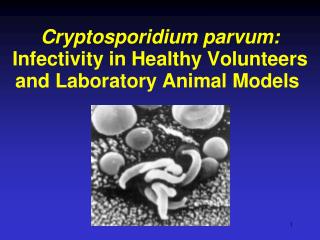 Cryptosporidium Volunteer Study