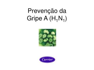 Prevenção da Gripe A (H 1 N 1 )